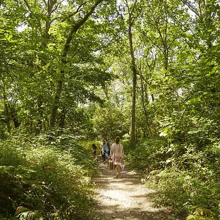 Maison De Bourg A Deux Pas De La Nyaraló