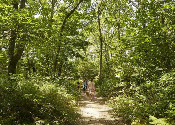 Maison De Bourg à Deux Pas De La Hébergement de vacances